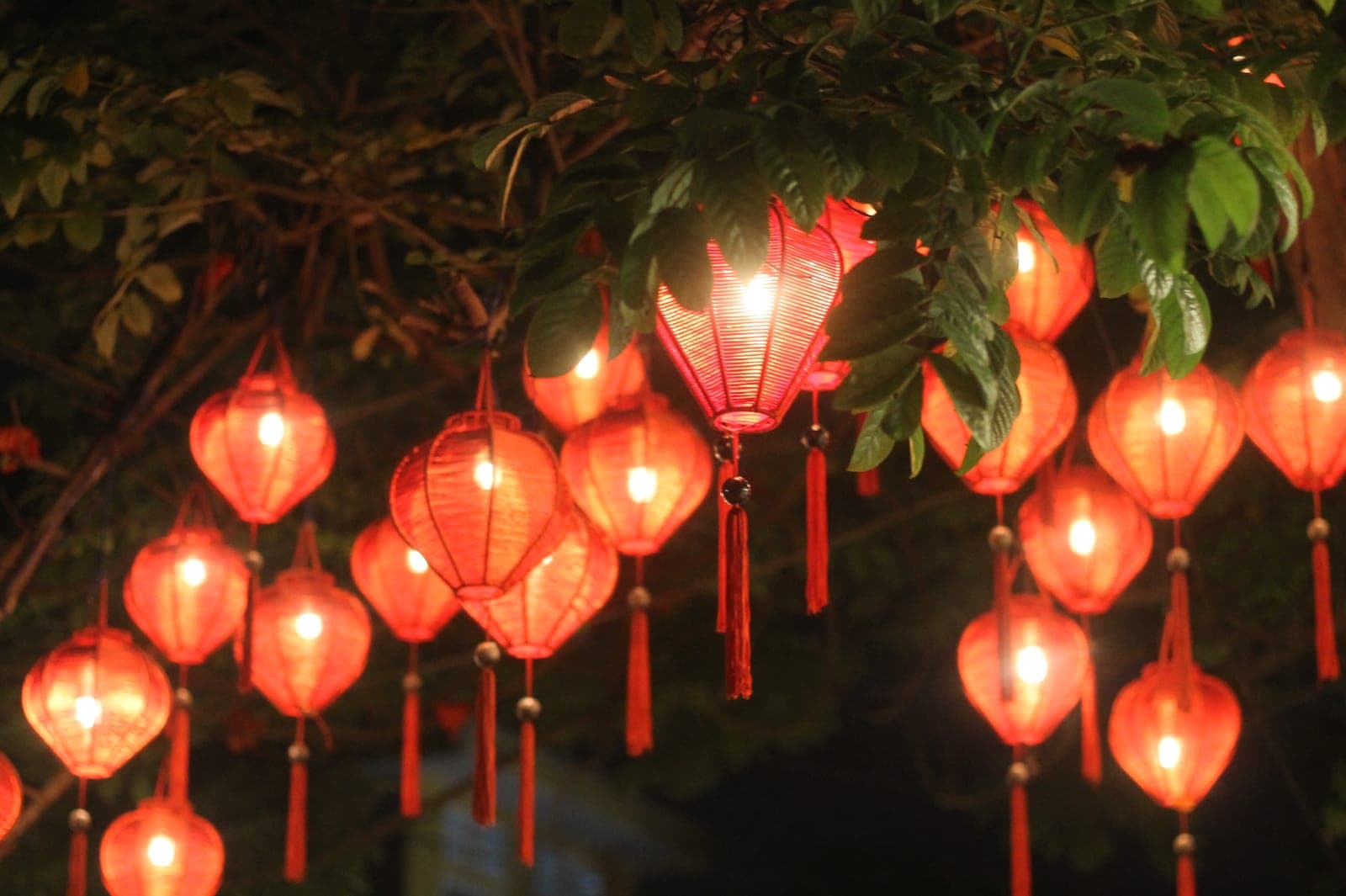 Red silk lanterns with glowing interiors and tassels hanging from leafy branches at night during Hoi An's Lantern Festival