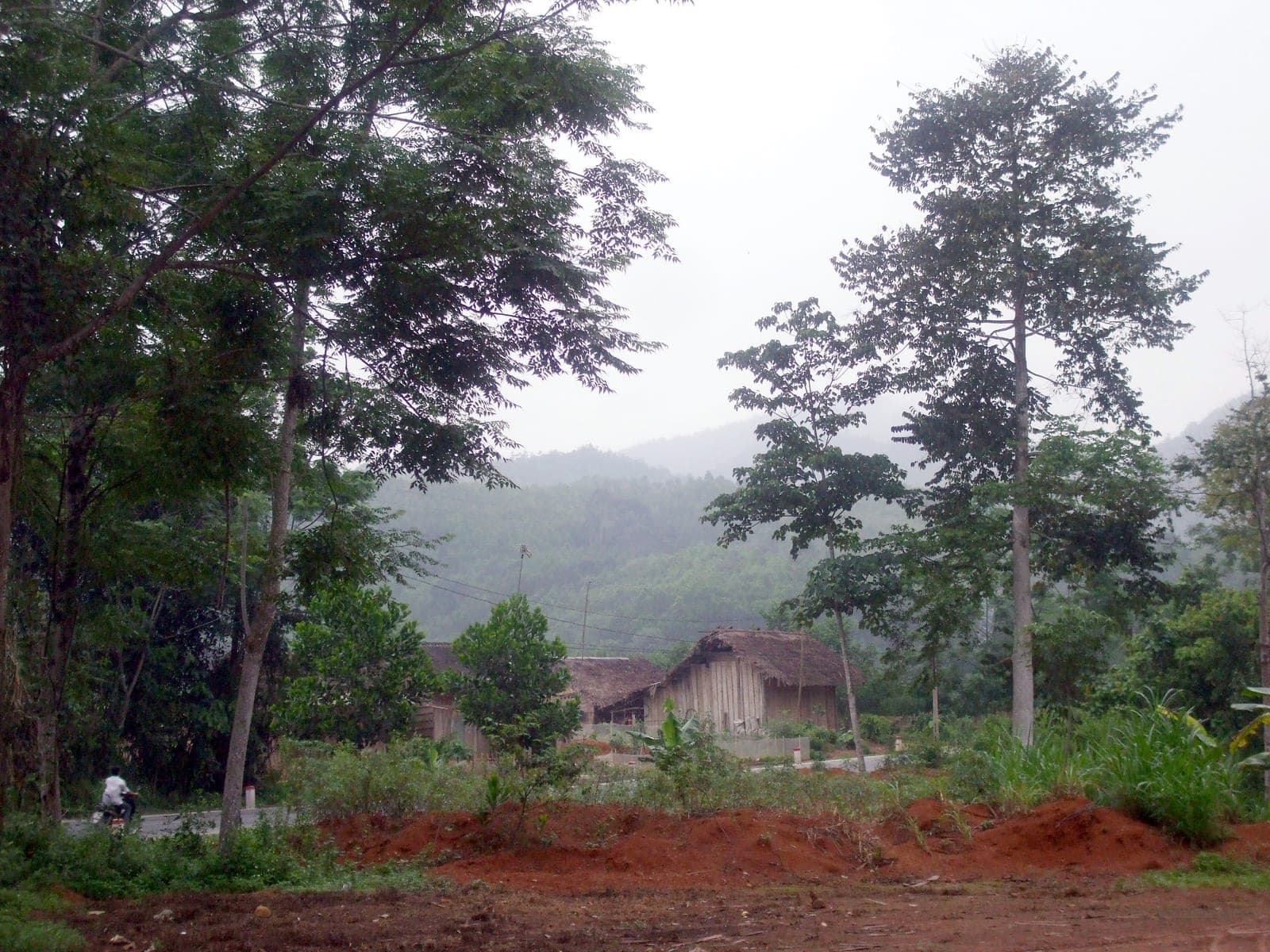 A traditional house nestled beside a rural road, surrounded by tropical vegetation and karst terrain typical of Vietnamese countryside.