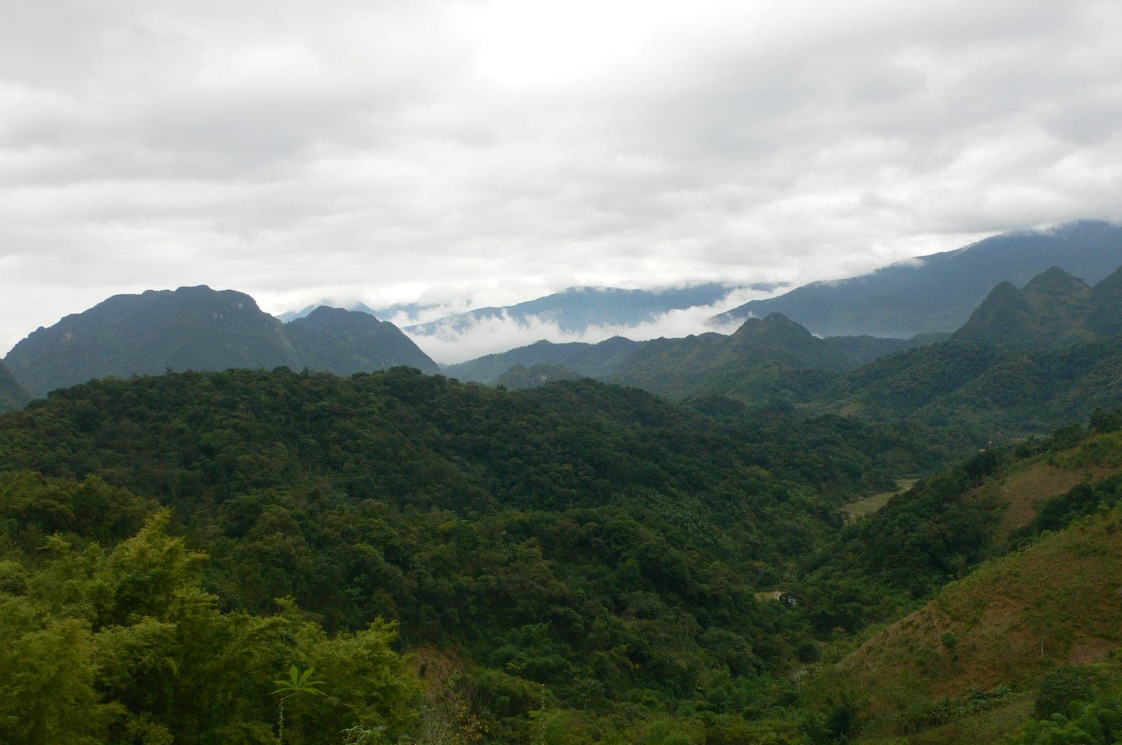 Verdant rice terraces and mountains in Pu Luong valley, a quiet destination in northern Vietnam away from tourist crowds