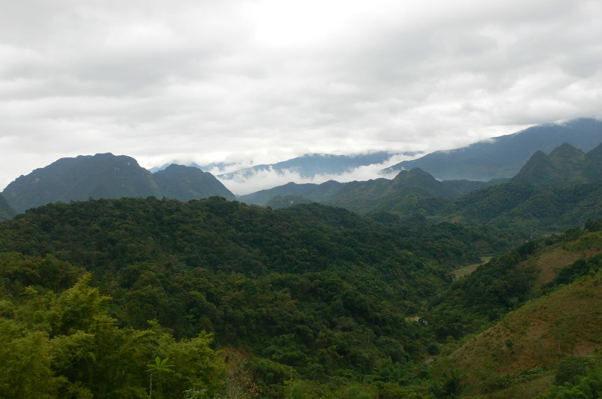Terraced rice paddies cascading down lush green mountainside in Pu Luong nature reserve, typical of Vietnam's ethnic minority agricultural valleys.