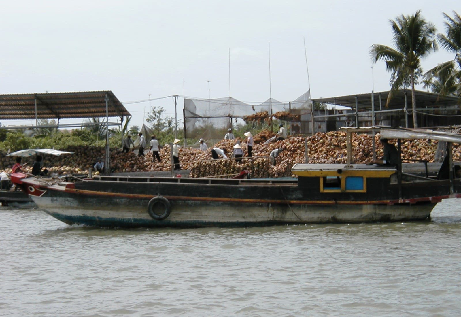 Piles of processed coconut peels and shells stacked for export, reflecting Bình Dài's role in Bến Tre's coconut industry