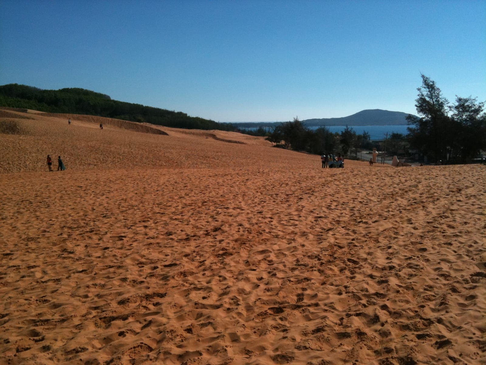 Golden sand dunes with rough, windswept texture under a clear sky, characteristic of Mui Ne's scenic dune landscape