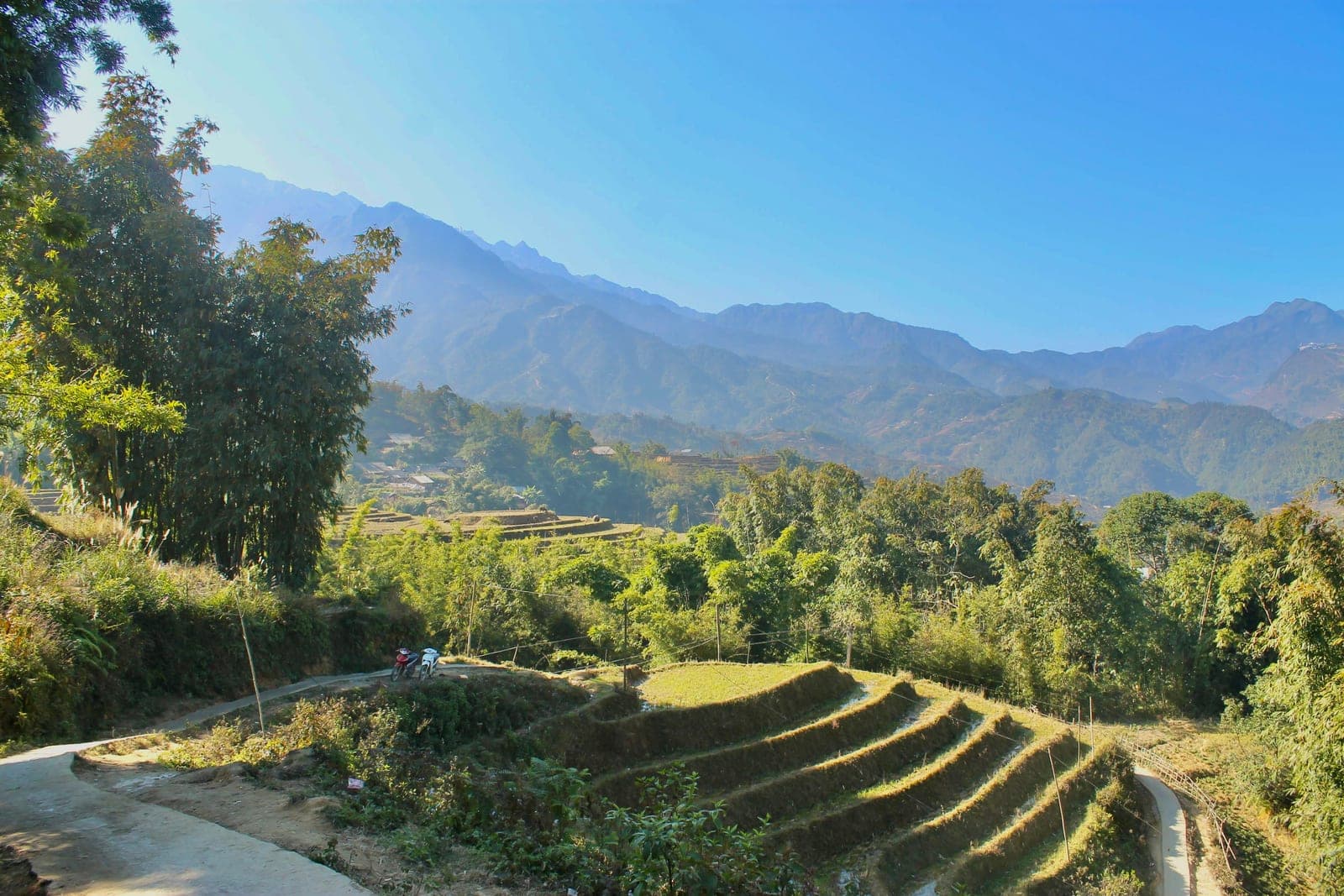 Lush green rice terraces cascading down a hillside in Vietnam during harvest season, showing layered agricultural landscape with reflected water.